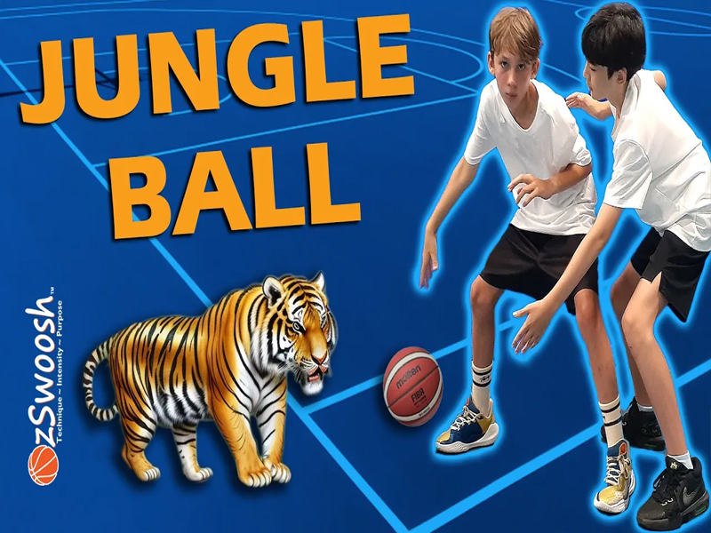Fun Youth Basketball Game Jungle Ball